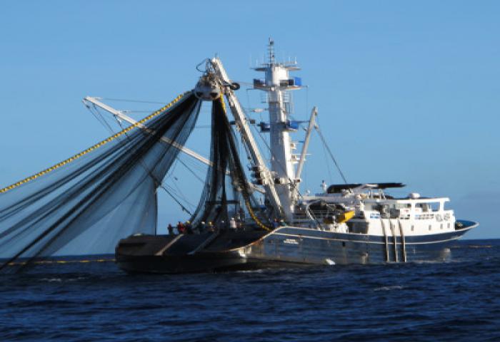 Tenggelamkan Kapal Illegal Fishing, Pemerintah Konsisten Kawal Kedaulatan Laut